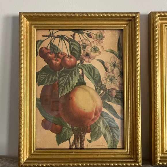 Vintage Fruit Art Prints in Gold Frames - Picture 2 of 7